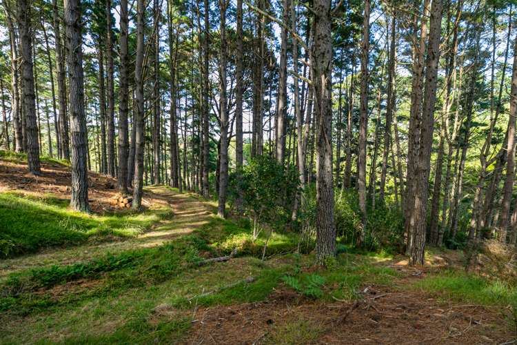 274 Glenmore Road Coatesville_16