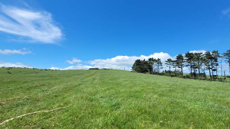 689 Mangatu Road Dargaville Surrounds_3