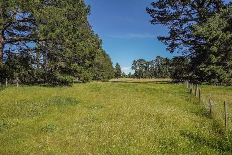 373 Lehmans Road Fernside_28