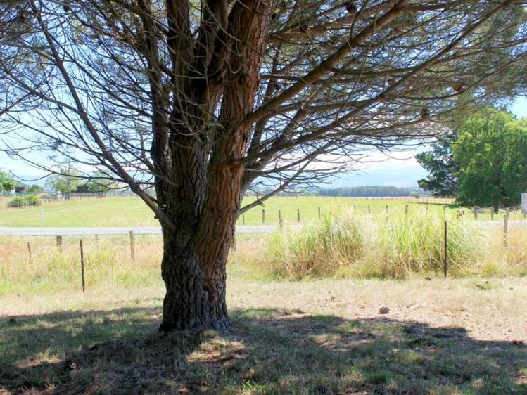 3a Brooklands Road Gladstone_9