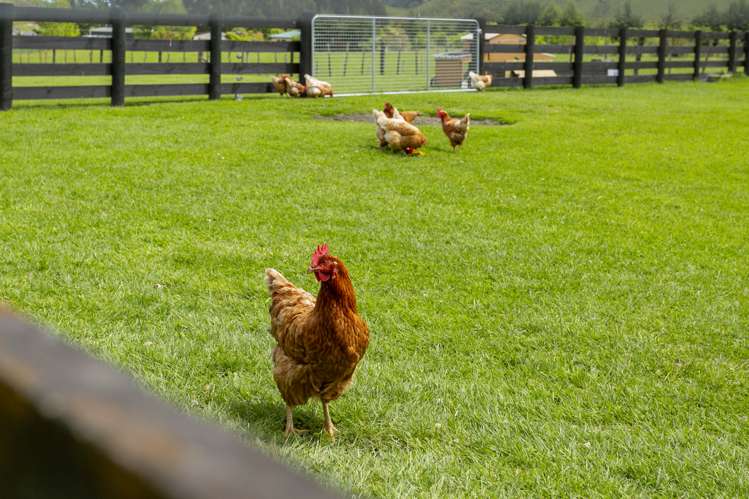 7 Hurunui Lane Kinloch_14