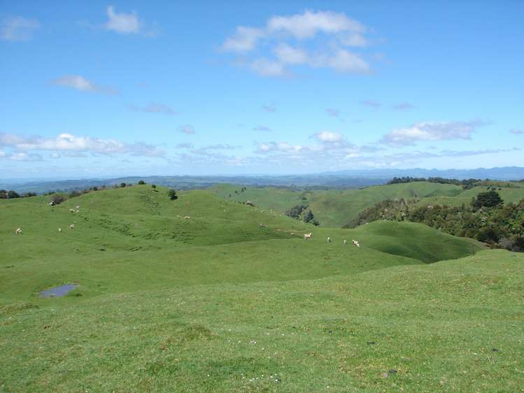 Mahoe Road Waitomo_11