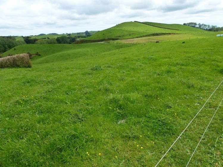 1265 Mountain Road Inglewood_17