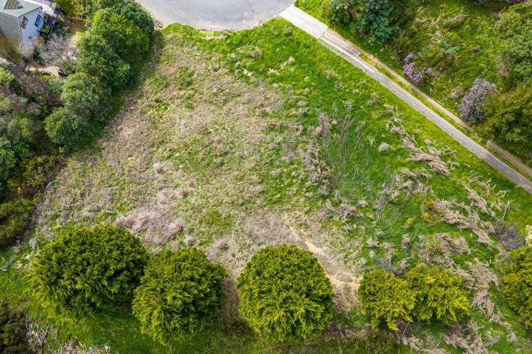 16 Webster Place Picton_6