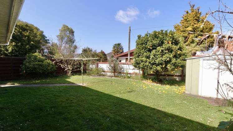 203a Peachgrove Road Claudelands_14