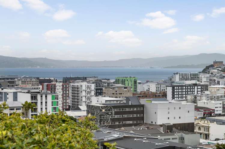 53 Thompson Street Mount Cook_13