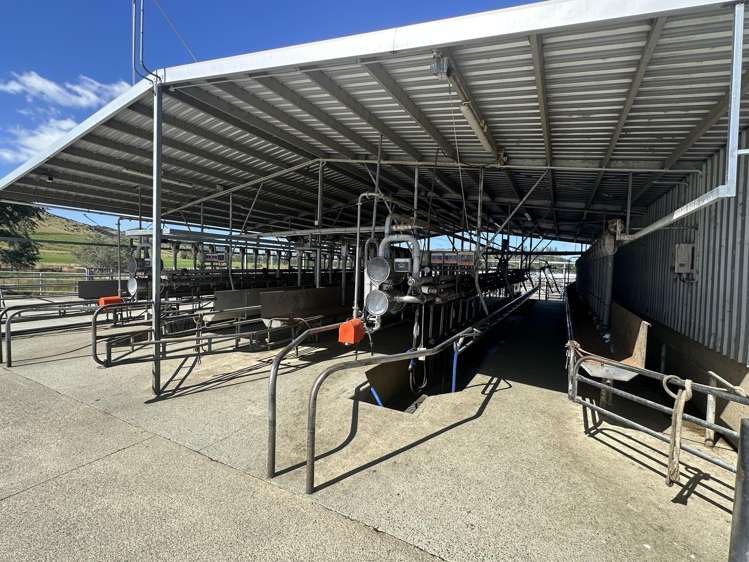 1147 Lumsden Dipton Highway Dipton_12