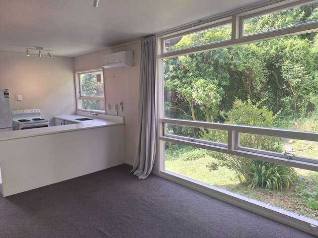 3/60 Croydon Street Karori_1