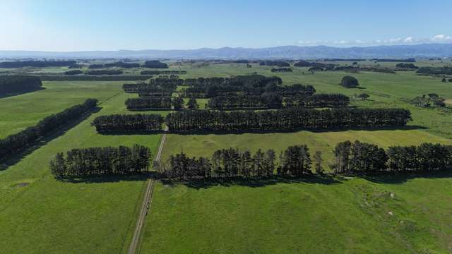 265 Paranui Road Foxton_1