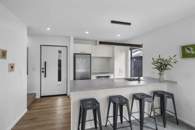 59c Winsor Crescent Spreydon_3