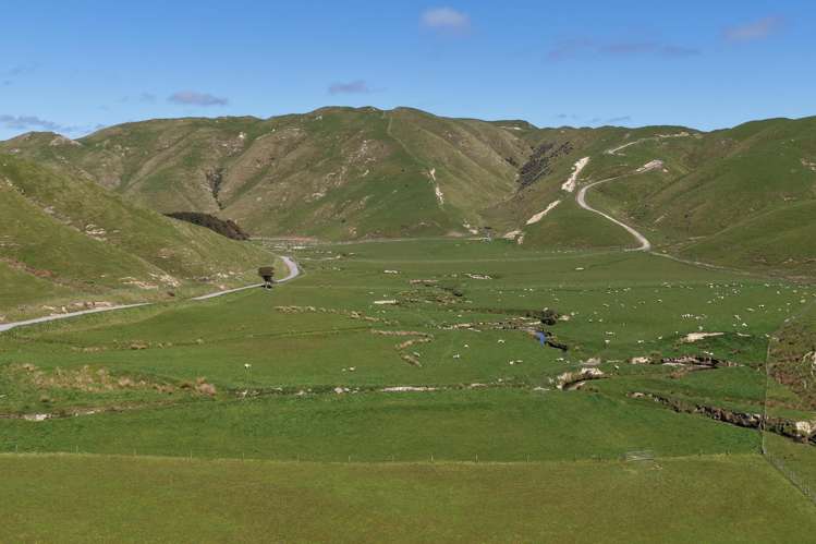 309 - 317 Boomrock Road Ohariu_25