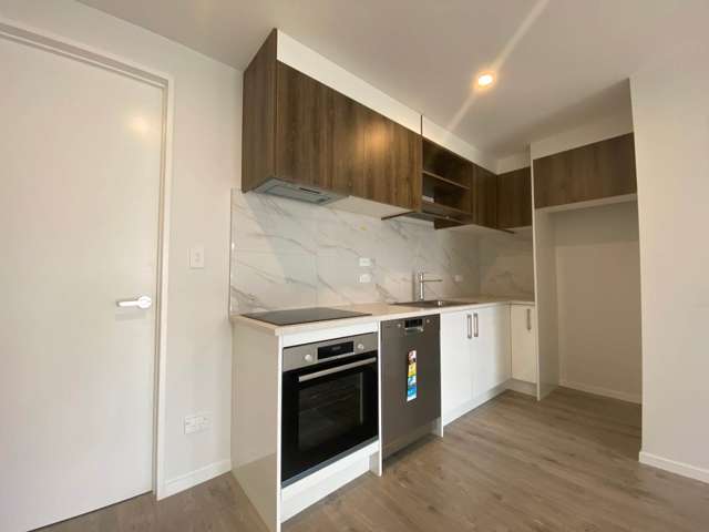 2/5 Hemopo Street Pukekohe_1