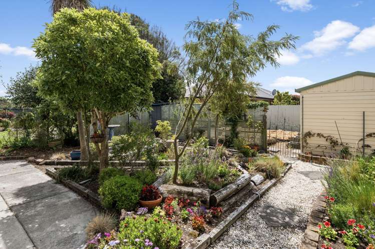 71 Burwood Road Burwood_39