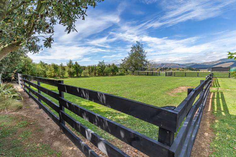 51 Laward Road Shannon_22