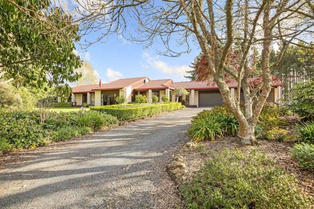 1246 Paerata Road Pukekohe_3