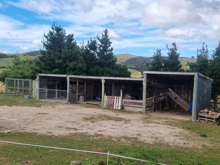 4820 Pahiatua Pongaroa Road Pongaroa_14