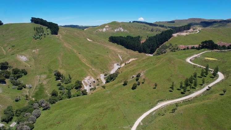 1543 Annedale Road Tinui_3