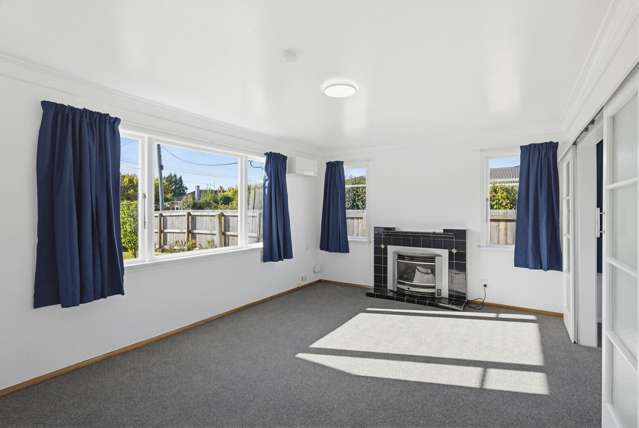 27 Elizabeth Street Levin_3