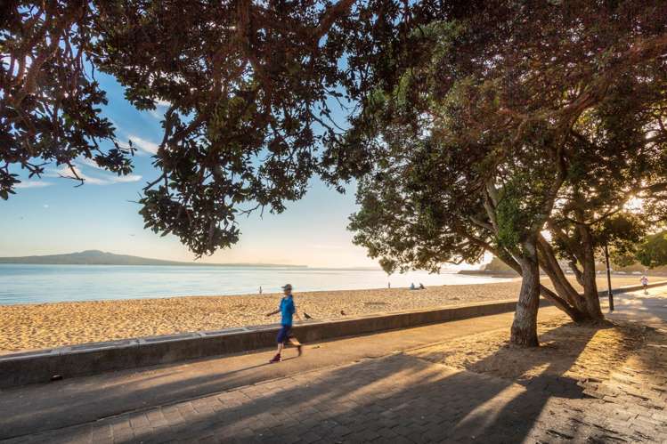 50B Comins Crescent Mission Bay_28