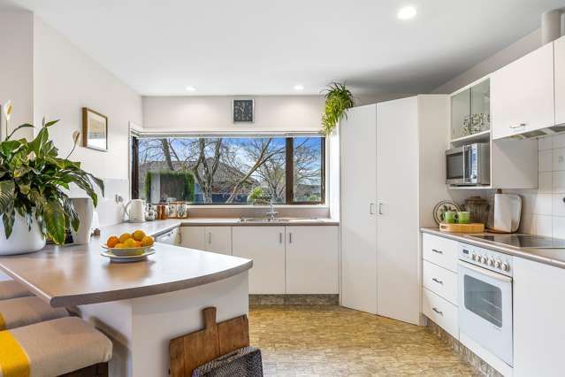 217 White Street Rangiora_2