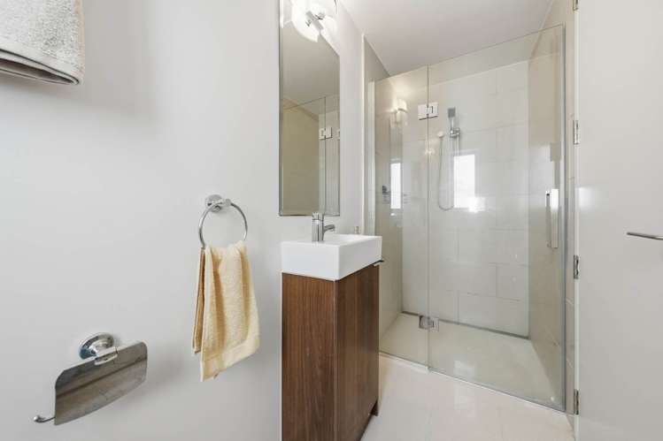 313 Murphys Road Flat Bush_12