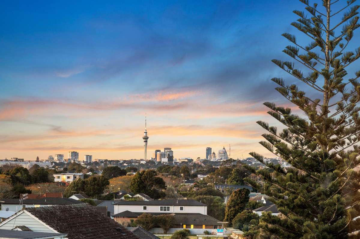 298A Mount Albert Road_4