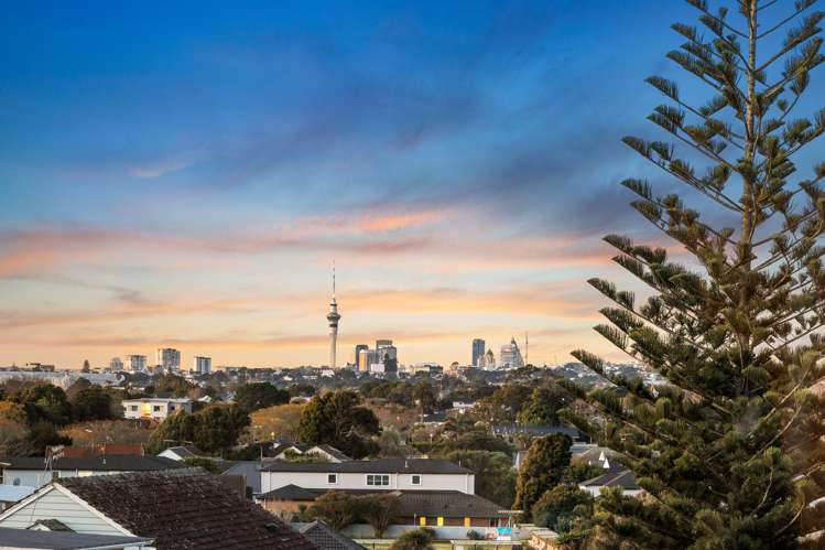 298A Mount Albert Road Sandringham_8