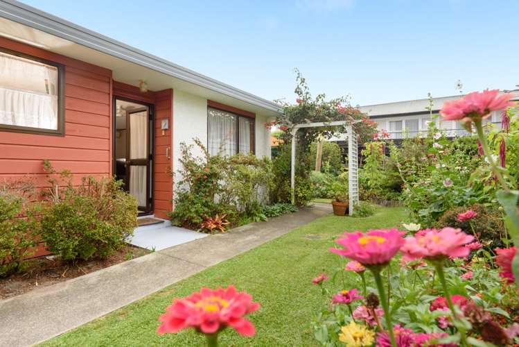 72b Otumoetai Road Judea_11