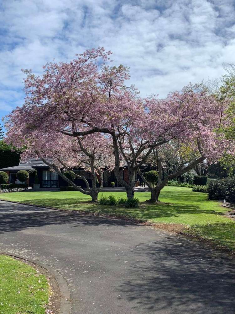 30 Ellett Road Karaka_31