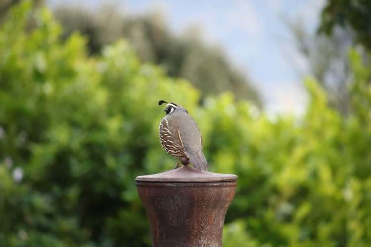 17a Dodd Road Manukau Heads_22