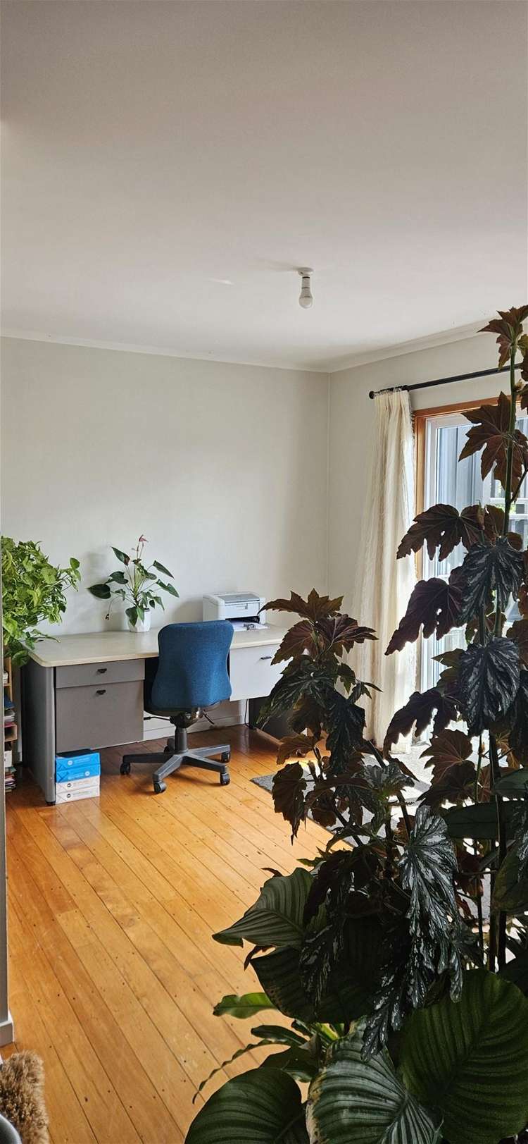 358 Gluepot Road Oropi_25