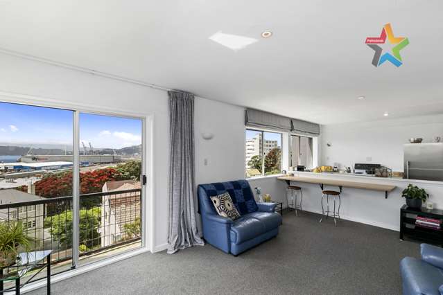 1B/1 Grant Road Thorndon_3