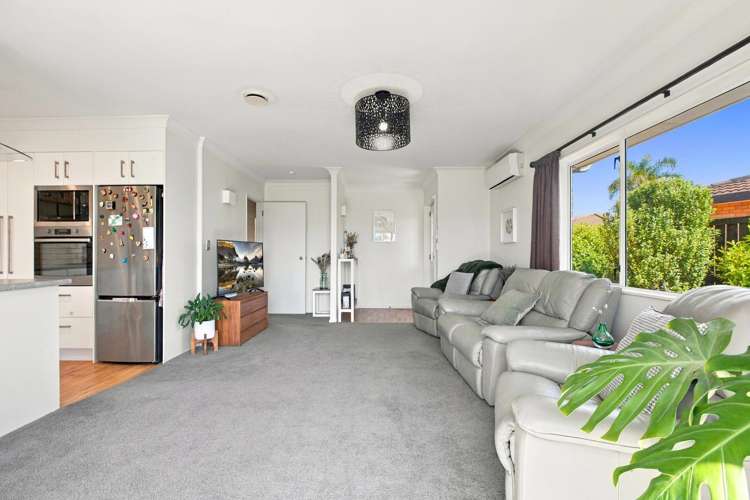 59A Bayfair Drive Mount Maunganui_9
