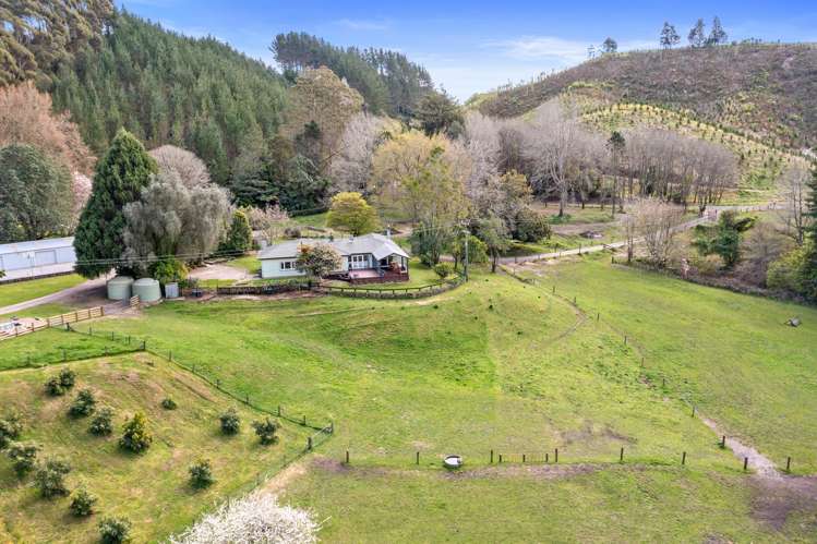 814A Allport Road Paengaroa_34