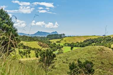 Lot 6 Ruakaka Ridge View_1