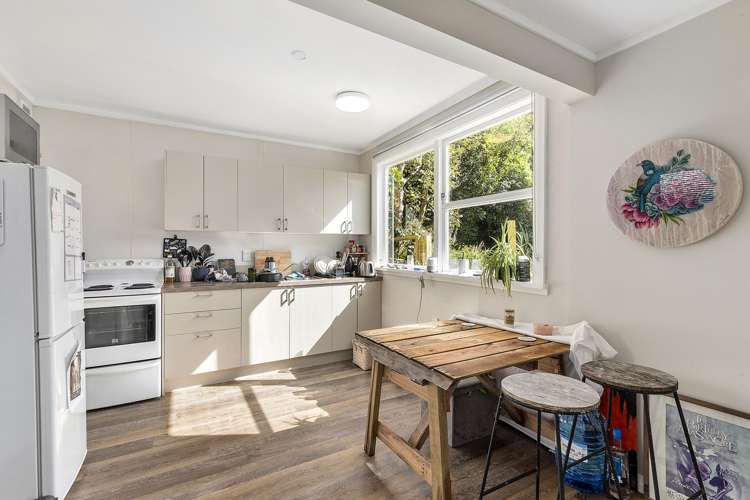 114 Holloway Road Aro Valley_19