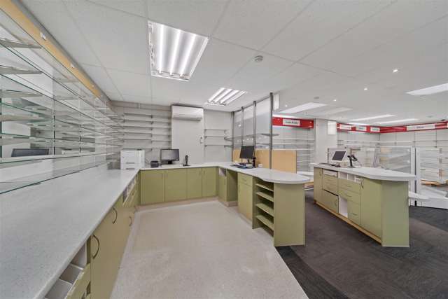 258 Barrington Street Spreydon_4