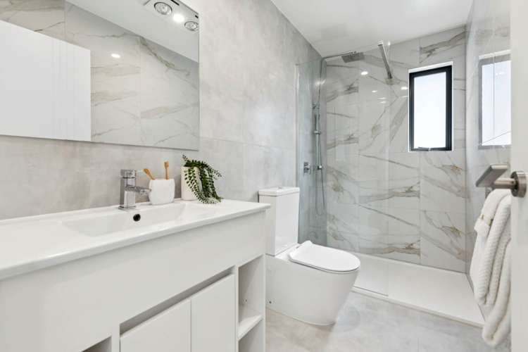 12 Serpent Road Flat Bush_4