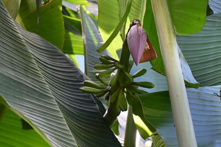 19 Beverley Crescent Hillcrest_24