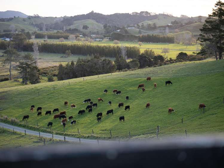 6986B State Highway 1 Kaitaia_16