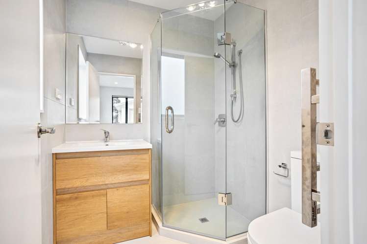 69A Astley Avenue New Lynn_12