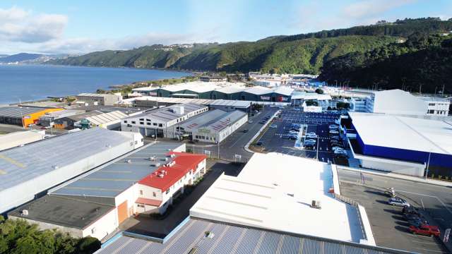 10 Te Puni Street Petone_1