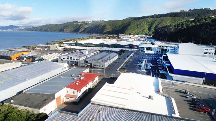 10 Te Puni Street Petone_1