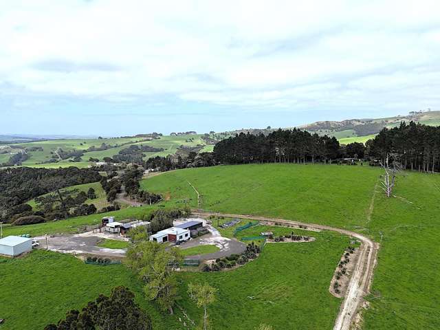 65 Proud Road Dargaville Surrounds_1