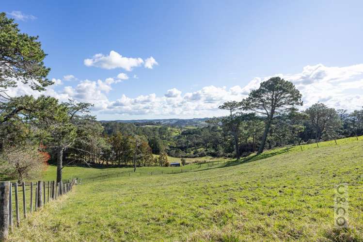 46 Potter Road Dairy Flat_2