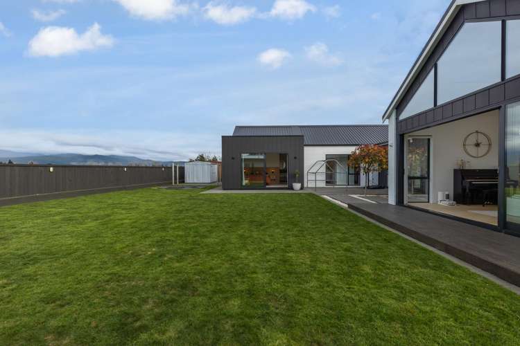 24 Phoenix palms Grove Levin_25