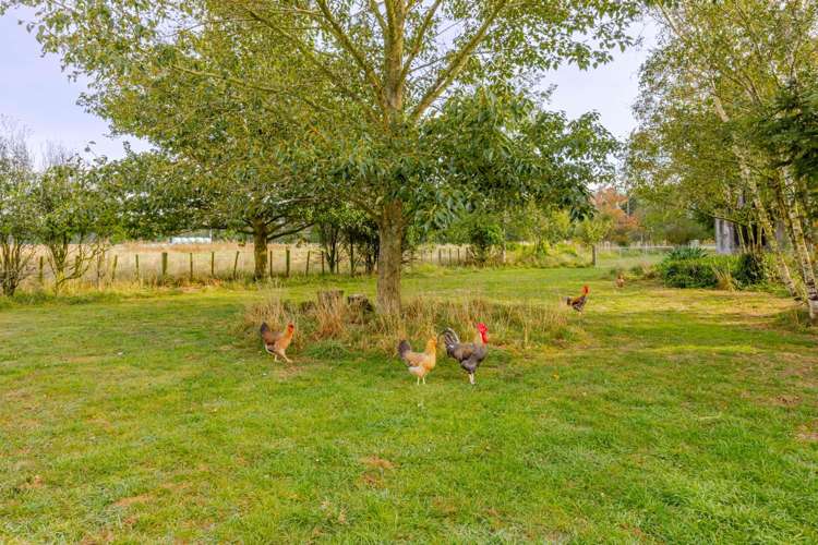 97 Matheson Road Tikokino_24