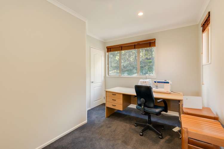 64 Major Aitken Drive Huntsbury_8