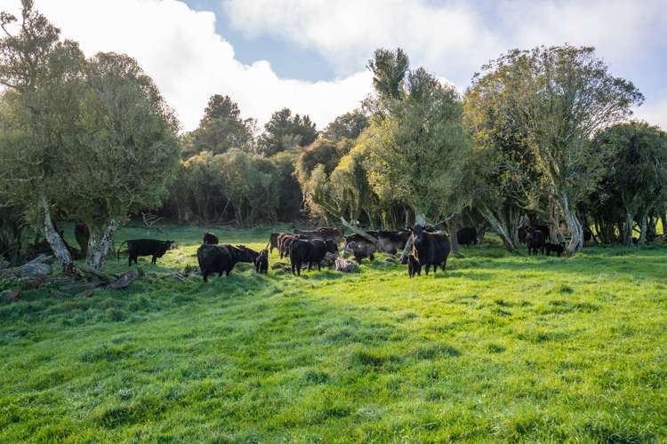 1274 Poihipi Road Oruanui_18