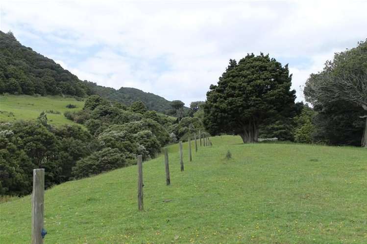 243c Mountain Road Maungaturoto_14